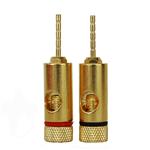 TIP PLUG C/TORN GOLD NEGRO